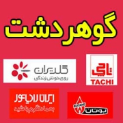 تعمیر-پکیج-گوهردشت